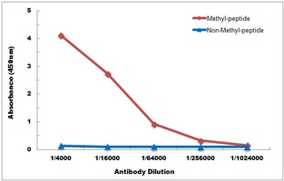 Histone H3 (DiMethyl-K4) antibody