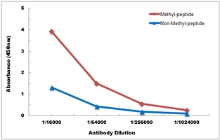 Histone H3 (MonoMethyl-K9) antibody