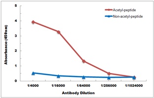 Anti-Histone H2B (Acetyl-K34) Antibody