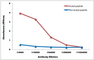 Histone H2B (AcK34) antibody