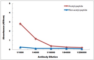 Histone H3 (AcK56) antibody