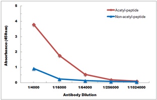 Histone H2A (AcK7) antibody