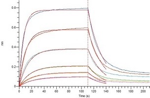 COVID-19 S1 Protein (Omicron, B.1.1.529)