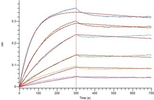 COVID-19 S Protein RBD (Omicron, BA.2)