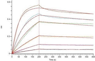 COVID-19 S Protein RBD (Omicron, BA.2)