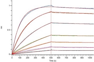 COVID-19 S-trimer Protein V2 (Omicron, B.1.1.529)