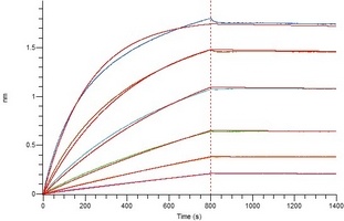 COVID-19 S-trimer Protein V2 (Omicron, B.1.1.529)