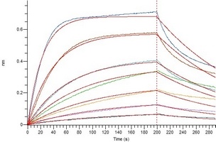 COVID-19 S Protein RBD (Omicron, B.1.1.529)