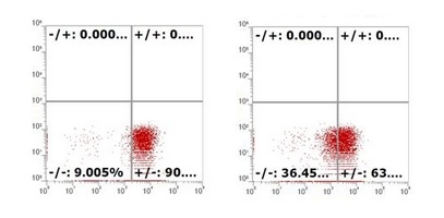Reactive Oxygen Species Fluorometric Assay Kit