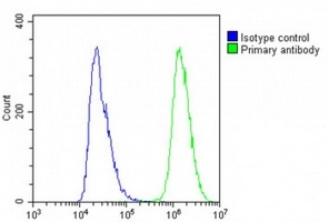 Anti-IL-23 alpha Antibody