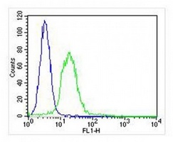 Anti-Integrin alpha 7 Antibody
