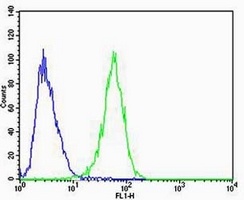 Anti-CAPN6 Antibody