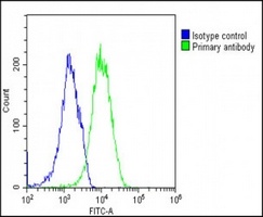 EIF2B3 antibody