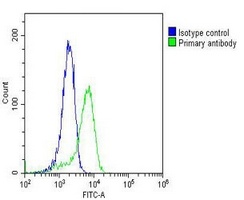 RAB18 antibody