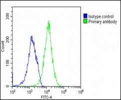 Anti-CD366 Antibody