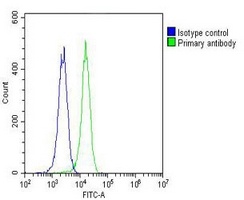 Anti-Nmi Antibody