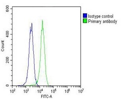 Nmi antibody