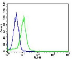 Anti-PPAR alpha Antibody
