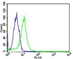 PPAR alpha antibody