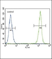 Alpha-actin-1 Mouse Monoclonal Antibody