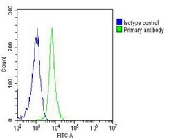 SUMO1 antibody