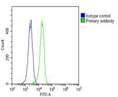 RAB27 antibody