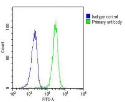 RASSF2 antibody