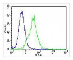 HINT1 antibody