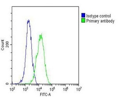 Anti-GlyRS Antibody