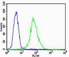 Anti-VEGFR3 Antibody