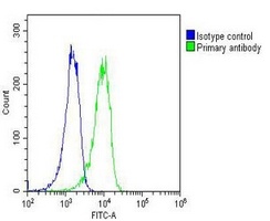 Anti-RYK Antibody