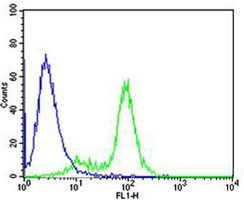 Anti-GATA3 Antibody