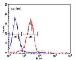 Anti-CD49f Antibody