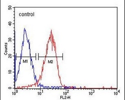 CD49f antibody