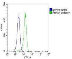 ETS1 antibody