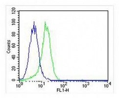 Anti-CD115 Antibody