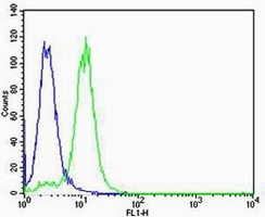 Anti-Von Willebrand Factor Antibody