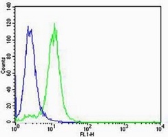 Von Willebrand Factor antibody