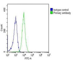 Anti-PGK1 Antibody