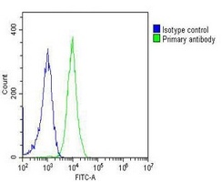 PGK1 antibody