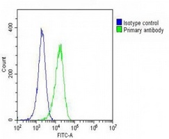 EGFR antibody