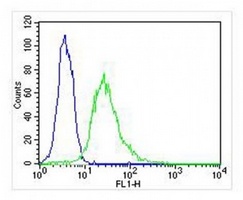 Anti-EEF1E1 Antibody