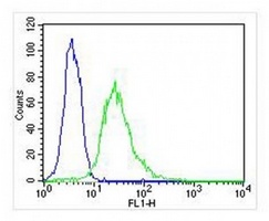 EEF1E1 antibody