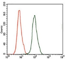 Anti-Kallikrein 3 Antibody