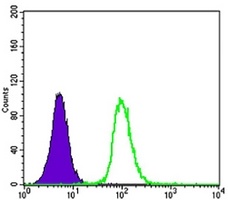 Anti-GSTP1 Antibody