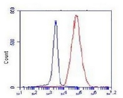 COX4-1 antibody