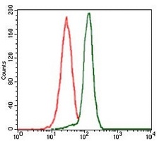 PP2C-alpha Mouse Monoclonal Antibody