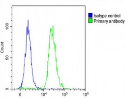 Anti-FAM3A Antibody
