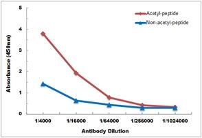Histone H4 (Acetyl-K91) Rabbit Polyclonal Antibody