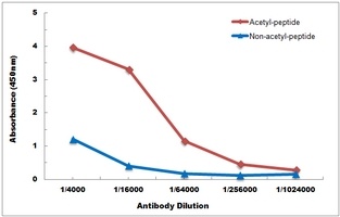 Histone H2B (Acetyl-K120) Antibody